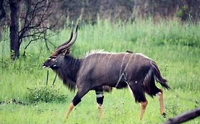 Ouklip Game Lodge
